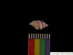 L_V22d6612 J4q845.2 T831 dM sh f229